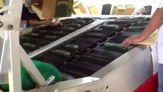 Cucumber packing in Hermosillo
