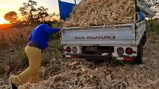 CARGANDO LA TUSA 