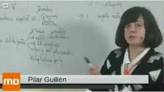 El IRPF - MasterD