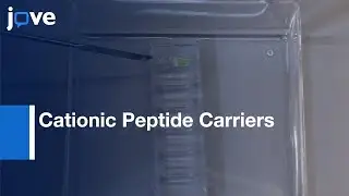 Characterization-Intra-Cartilage Transport Properties: Cationic Peptide Carriers l Protocol Preview