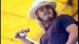 RONNIE VANZANT TRIBUTE SONG