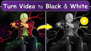 Change Video Color to black & white in PotPlayer