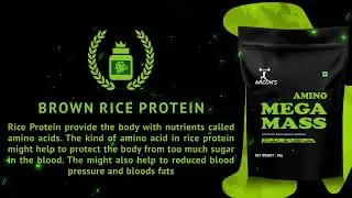 Arcon Amino Mega Mass Advance Muscle Gainer with Digizyme Enzymes