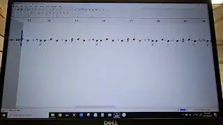 Black and Yellow - snare drum bass drum part