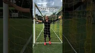 BUGS DO FIFA!