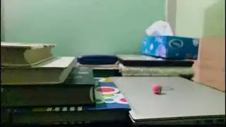 Education is more important
