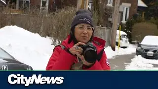 Toronto's new Photo Laureate a visual ambassador