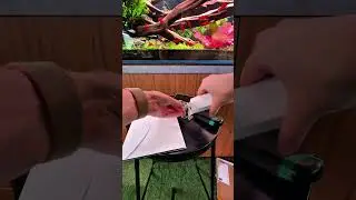 Panel solarny z Action 🦾 #aquarium #aquascapegallery #aquascape #fishtank #planetaquarium