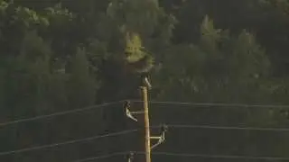 Jorduggla, Uv&auml;ngen 2   1080p