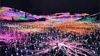 Sensorio &hellip; a lovely field of lights