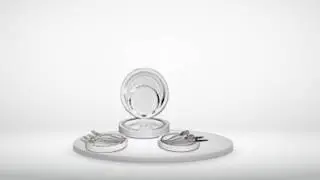 OCCASIONS Wedding Disposable Plastic Plate and Silverware Reviews