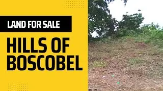 УЧАСТОК С ВИДОМ НА МОРЕ В ХОЛМАХ БОСКОБЕЛЯ В СЕНТ-МЭРИ ВСЕГО ЗА 7 500 000 ДОЛЛАРОВ