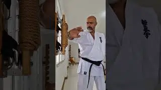 Kyokushin Legend Shihan Francisco Filho #fullcontact