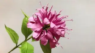 ABC TV | How To Make Bee Balm Paper Flower  - Craft Tutorial