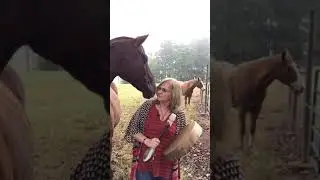 Drumming with Horses