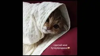 #shorts #memes #recommended #school #video #top