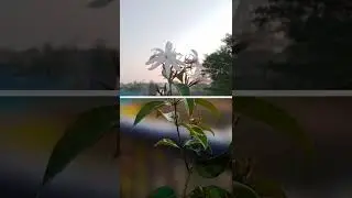 How To Blur Background In Picsart