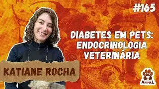 DIABETES EM PETS: endocrinologia veterinária com Katiane Rocha (ep 165 temp 2)
