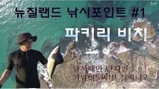 [KIWILIFE]New Zealand Pakiri beach, 뉴질랜드 파키리 비치에서 초보자 낚시꾼 도시어부 따라잡기!