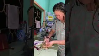 Bagyong Crising