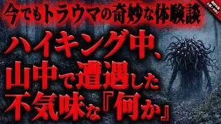 【奇妙な話】ハイキング中に遭遇した不気味な”何か”が恐ろし過ぎる…。山中で会った親切なオッチャンが怖過ぎて今でもトラウマ…『ハイキング中での怖い話』全6話＋おまけ【ゆっくり怖い話作業用/睡眠用】