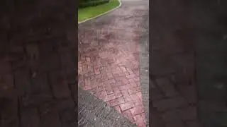 Tropical Rainstorm 🌴⛈️#TropicalRain ☔#Downpour 💧#RainyDay 🌧️#StormyWeather 🌦️#RainVibes #PalmTrees 🌳