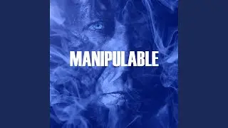 Manipulable