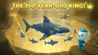 Century of the Beast 💯 | The 150-Year-Old Giant Megalodon Mystery! | Octonauts Full Episode