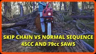 Skip chain, Is it faster on small saws with long bars? Slower on big saws?