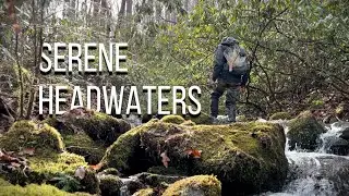 Fly Fishing the Serene Winter Headwaters of the Great Smoky Mountains