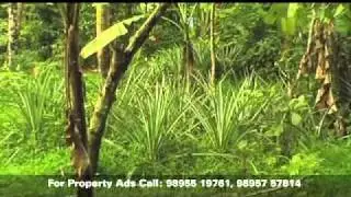 Jose Chalakuddy.mov