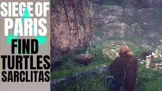 Assassin's Creed Valhalla  FIND 3 EUROPEAN POND TURTLES LOCATION, Mystery Sarclitas 3 Pond Turtles