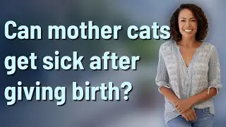 Can mother cats get sick after giving birth?