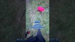 Day 274 in the life of a little-known streamer #vlog #twitch #streamer #vlog