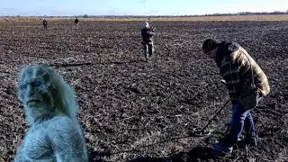 Хроники копа 13.11.2022, коп, шурф, разведка