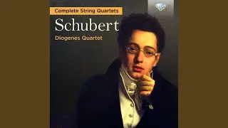 String Quartet No. 7 in D Major, D. 94: III. Menuetto (Allegretto) - Trio
