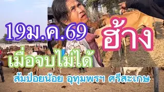 ฮ้าง#19ม.ค.69 ส้มป่อยน้อย