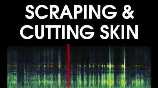 Scraping & Cutting Skin Sound Effect