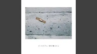 ビューティ