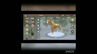 WILD CLUB скин гепарда стал легендаркой?!!!!! как?