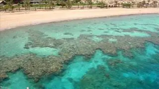 ch 5 2 fringing reefs
