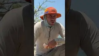 Новый остров, новое одиночное выживание в джунглях | Без еды, воды и укрытия [Дни 1-2] 3