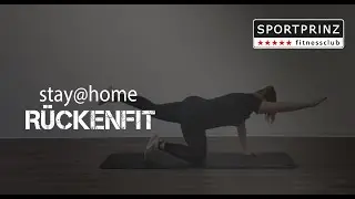 SPORTPRINZ Stay@Home | R&uuml;ckenfit