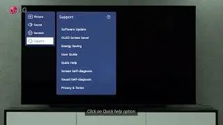 LG WebOS TV 6.0 - No Audio Issue