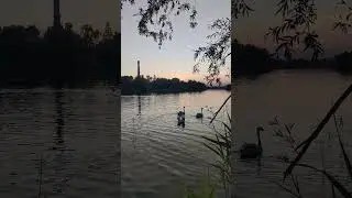 Плеск воды летним вечером расслабит/Звуки природы/Sounds of nature #nature #шумводы