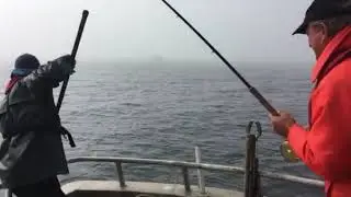 Salmon Fishing in Queen Charlotte Island