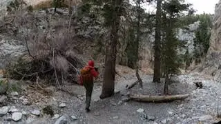 Fletcher Canyon VR Experience: Polished Limestone Walls #scrambling #VirtualReality #360video