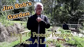 How To Protect Potatoes From A Late Frost