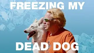 Reviving pets from the dead with cryonics | Immortal Pets? | SBS The Feed