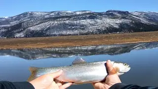 TROUT FISHING In COLORADO MOUNTAINS!! FULL WEEKEND TRIP (AMAZING)